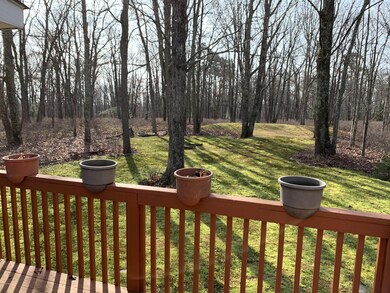 239 Washington Dr, Hawley, PA 18428 - photo 6