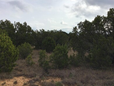 33057 Greenhill Dr, Whitney, TX 76692 - photo 4