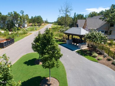 236 Emelia Ln, Fearrington, NC 27312 - photo 5