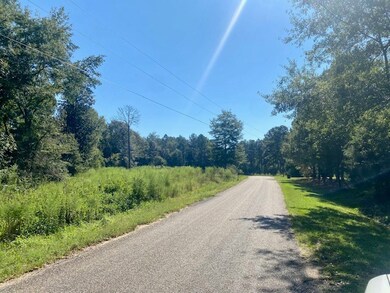 14 Firetower Rd, Tylertown, MS 39667 - photo 2