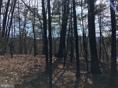 0 Nicklaus unit VASH116988, Basye, VA 22810 - photo 4