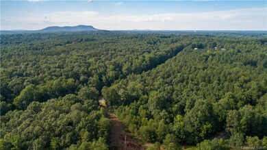 33.5 Acres Crowders Creek Rd, Gastonia, NC 28052 - photo 2