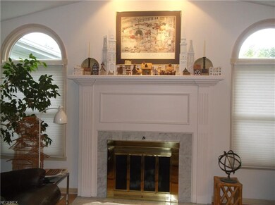 Family Room fireplace, plenty of light and directi