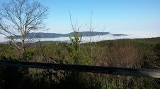 above the fog