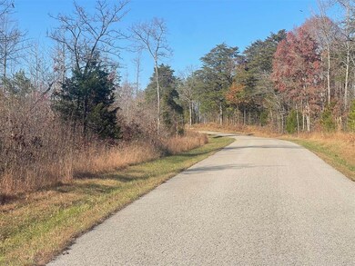 0 Terry Coal Rd unit RA20256681, Crofton, KY 42217 - photo 7