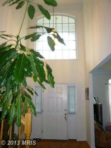 14419 Big Bear Ct, Silver Spring, MD 20906 - photo 3