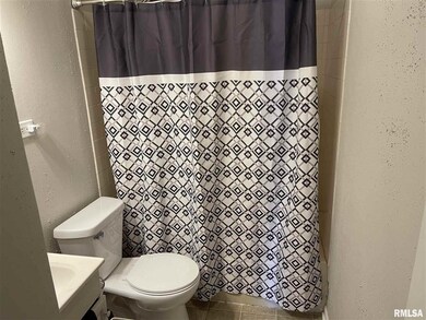 3433 N Fillmore St, Davenport, IA 52806 - photo 4