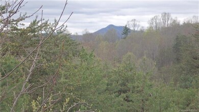 17 Chapel Hill Place unit 38, Leicester, NC 28748 - photo 4