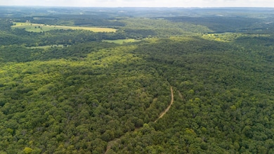 000 Merritt Rd, Chadwick, MO 65629 - photo 3