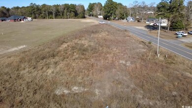 0.80 Acres-TBD State Road S-26-140, Loris, SC 29569 - photo 2