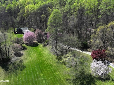 Drone Photo of whole front yard