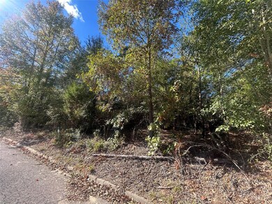 9 Bayshore Dr, Athens, TX 75752 - photo 3