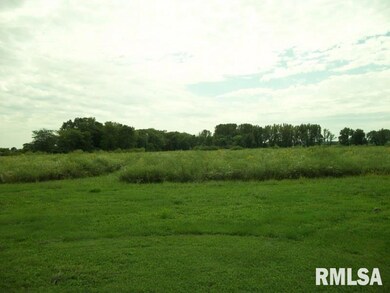 29260 Ropp Rd, Geneseo, IL 61254 - photo 4