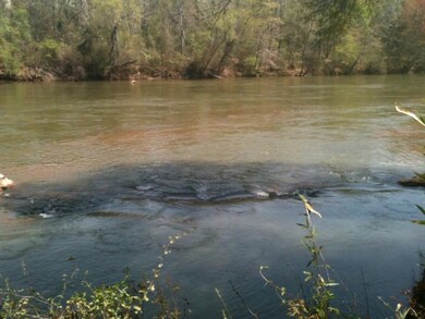0 Old Dames Ferry, Juliette, GA 31046 - photo 2