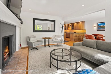 980 E Hyman Ave unit 3, Aspen, CO 81611 - photo 6