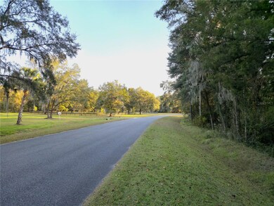 0 NW 145th Ave Lot 25, Williston, FL 32696 - photo 6