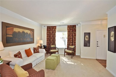 Carpeted living room with crown molding and a text