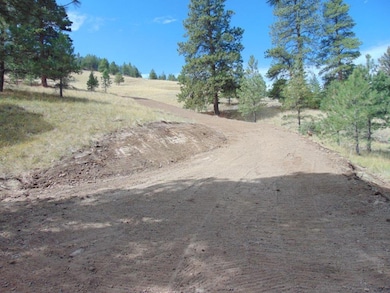 15 Shady Spring Ln, Cascade, MT 59421 - photo 3