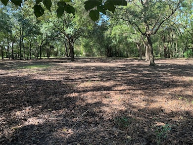 603 Quaker Dr, Friendswood, TX 77546 - photo 6