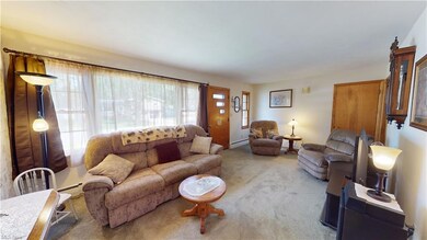 Carpeted living room with a wealth of natural ligh