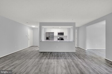 13109 Briarcliff Terrace unit 3309, Germantown, MD 20874 - photo 2