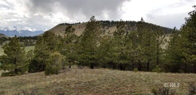 Another view