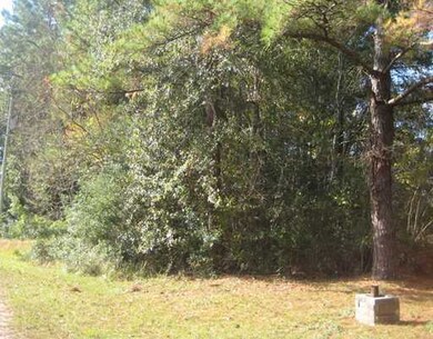 0 Windrow Place, Moss Point, MS 39562 - photo 4