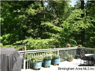Beautiful private deck up in the trees - So nice!