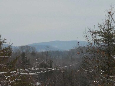 Lot #1 Off Rd S, Parsonsfield, ME 04047 - photo 3
