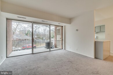 3700 N Rosser St unit 201, Alexandria, VA 22311 - photo 6