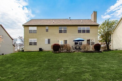 Large Back Yard and Patio