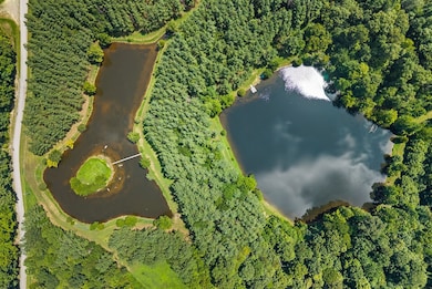 0 Everlasting Springs Rd, Cadiz, KY 42211 - photo 3