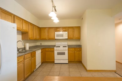 2919 N Harlem Ave unit 208, Chicago, IL 60707 - photo 5