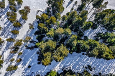 2153 Lydia Dr unit 24, Donnelly, ID 83615 - photo 6