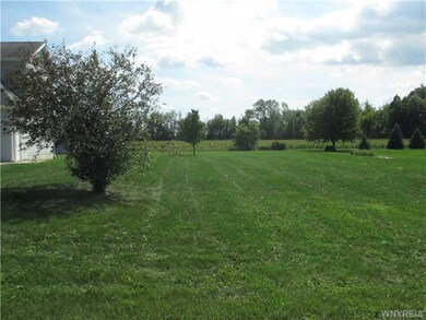 Yard/Garden.