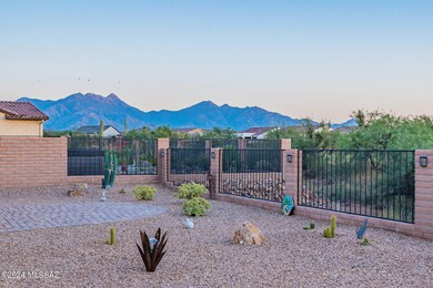 Backyard Twilight-Santa Ritas