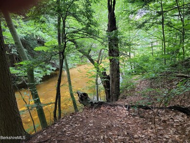 Brook front