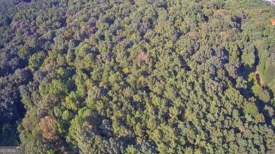 0 High Falls Rd unit 10592774, Jackson, GA 30233 - photo 2