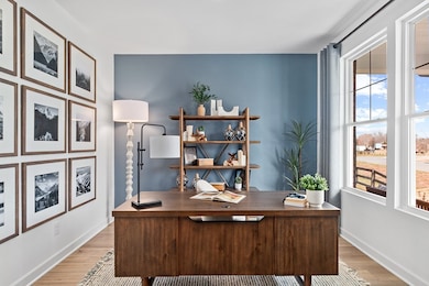 824 Molly Ln, Mt. Juliet, TN 37122 - photo 4