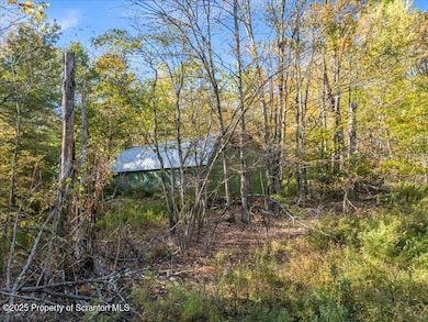 1573 Cork Hill Rd, Brackney, PA 18812 - photo 4