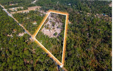 TBD N County Road 349, O'Brien, FL 32071 - photo 4