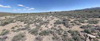 Wild West Trail, Wells, NV 89835 - photo 3