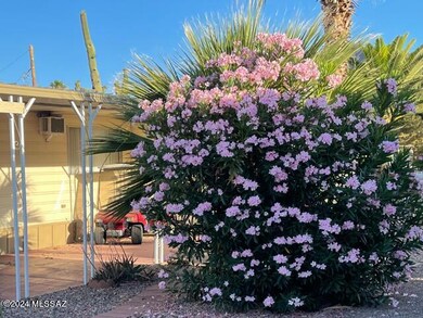5572 Lazy S Side Yard Blooms.JPG
