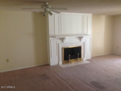 13230 LR Fireplace IMG_1384