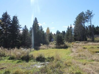 W8367 Cty O, Tomahawk, WI 54487 - photo 5