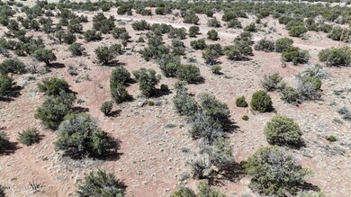 DJI_20250503102242_0033_D