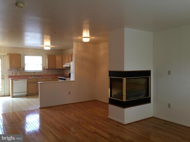 438 Blossom Ln, Frederick, MD 21701 - photo 5