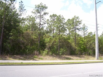 1990 E Norvell Bryant Hwy, Hernando, FL 34442 - photo 3