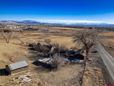 67133 Locust Rd, Montrose, CO 81401 - photo 3