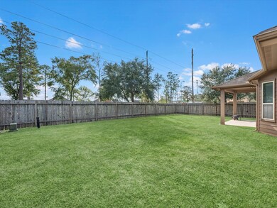 Generously sized backyard with no rear or side neighbors